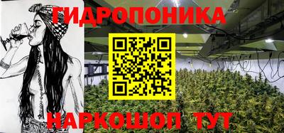 каннабис Новозыбков