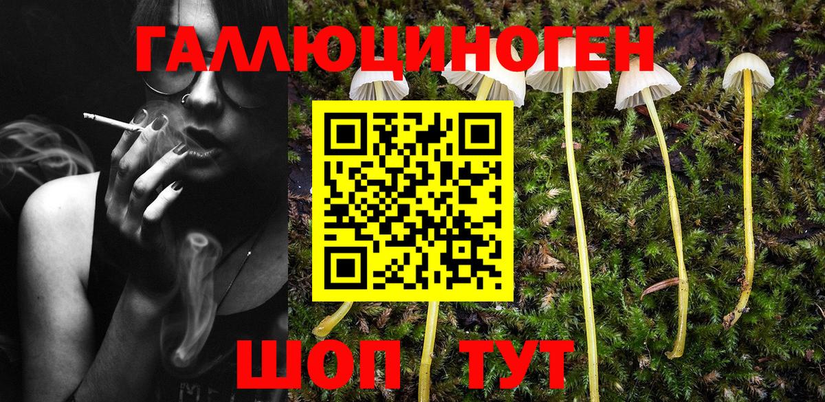 Галлюциногенные грибы MAGIC MUSHROOMS Владивосток
